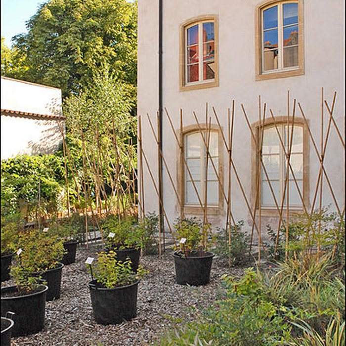 Photo de Hôtel Saint-Livier à Metz