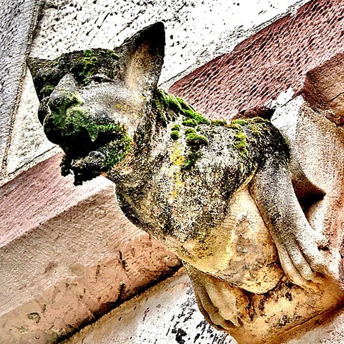 Photo de Hôtel Thiadot à Luxeuil-les-Bains