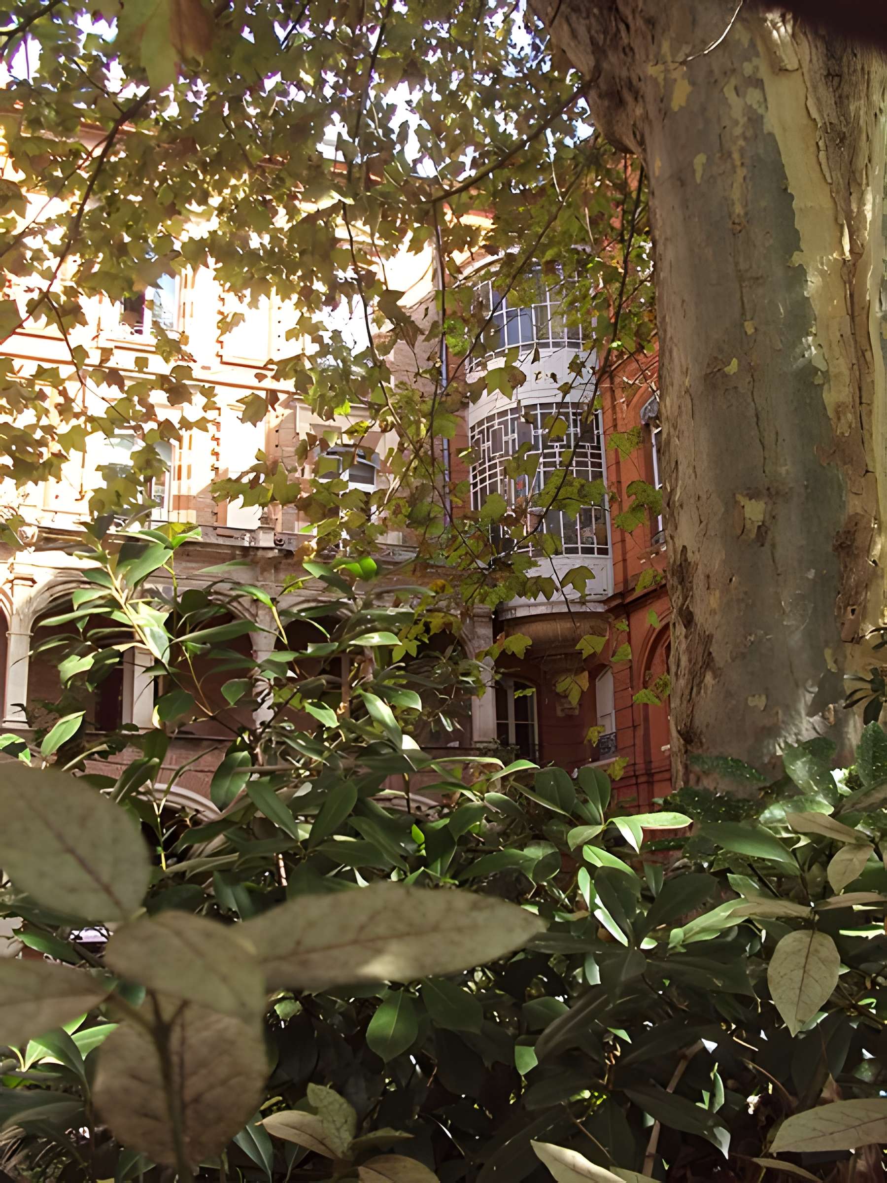 Hôtel Thomas de Montval à Toulouse 