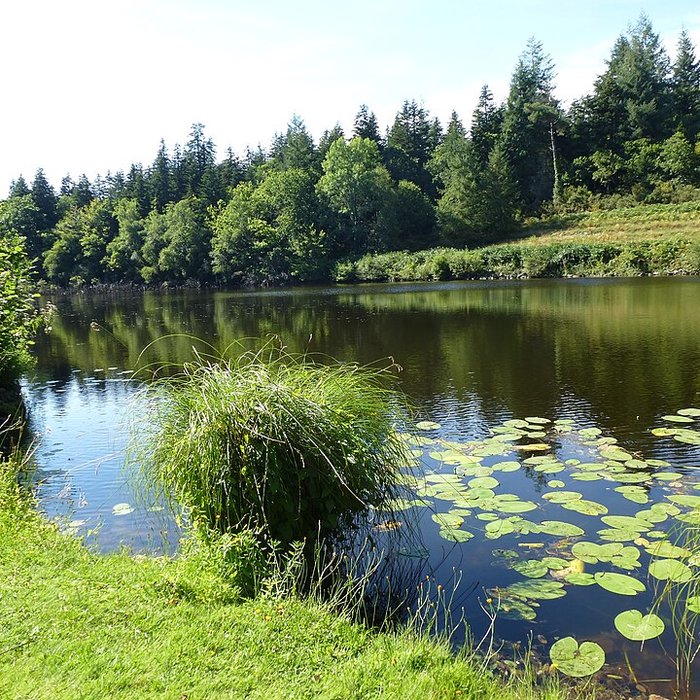 Photo de Ancienne forteresse ou ancien château de Largouët
