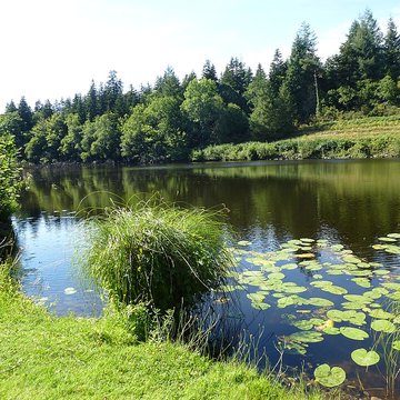 Ancienne forteresse ou ancien château de Largouët