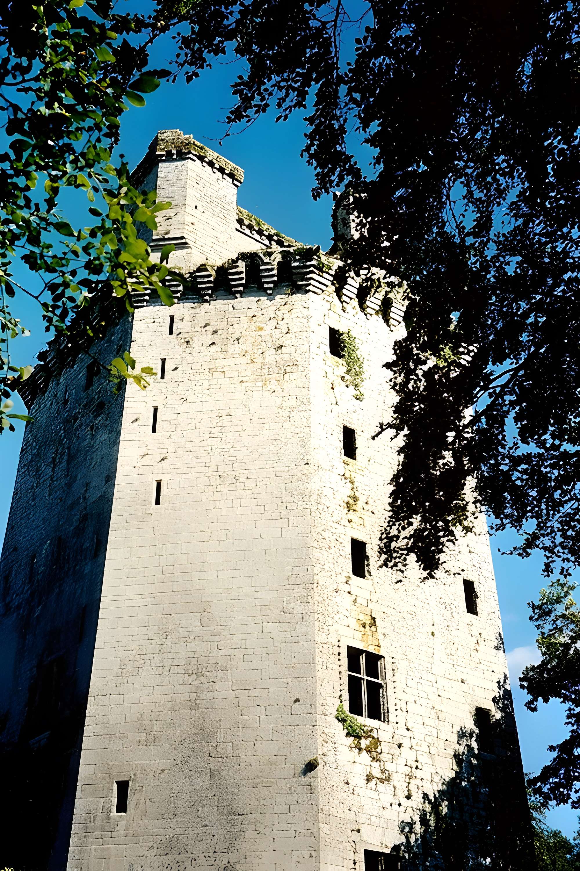 Ancienne forteresse ou ancien château de Largouët