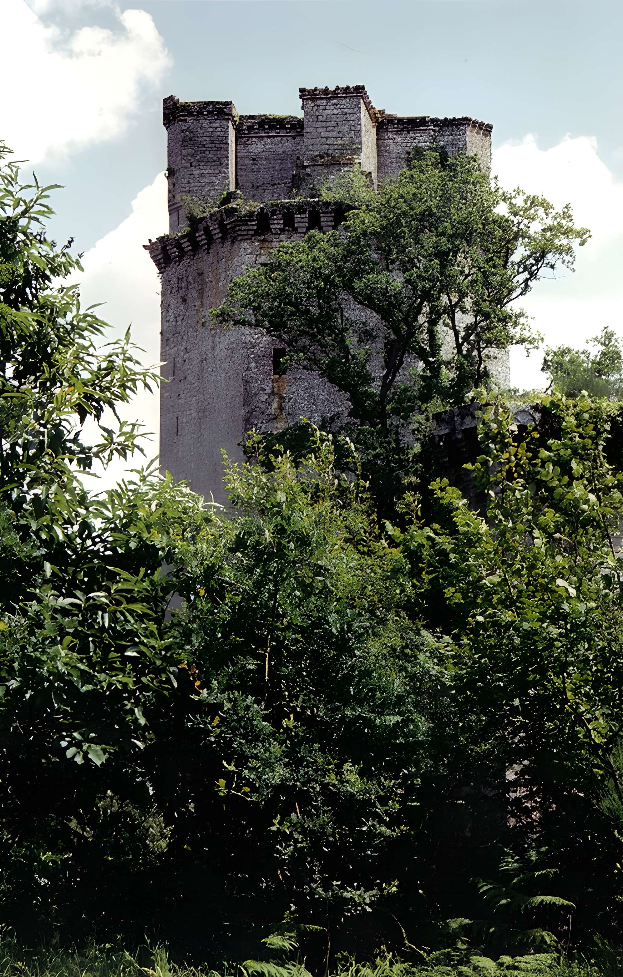 Ancienne forteresse ou ancien château de Largouët