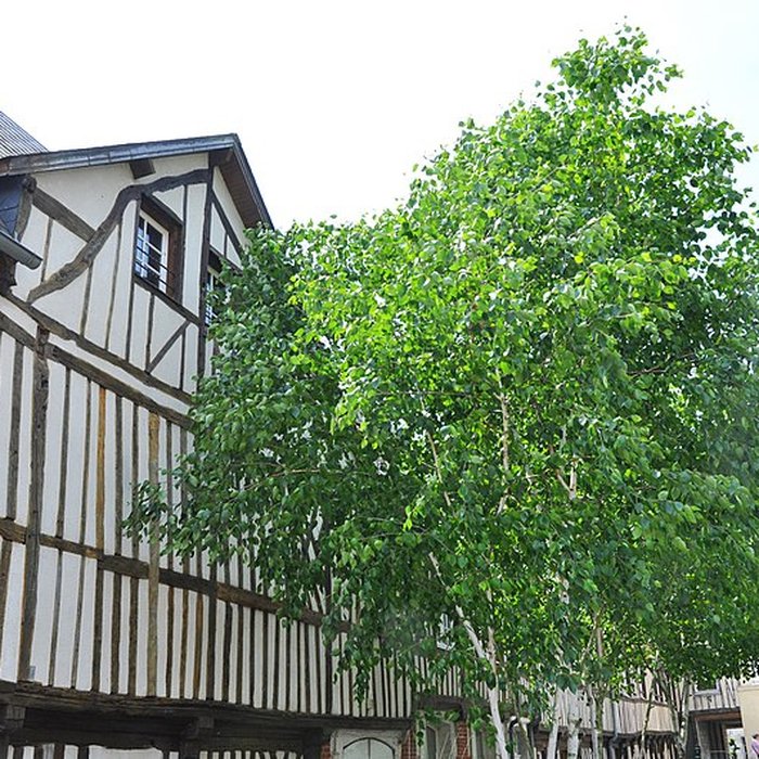 Photo de Immeuble de la cour Canel à Pont-Audemer