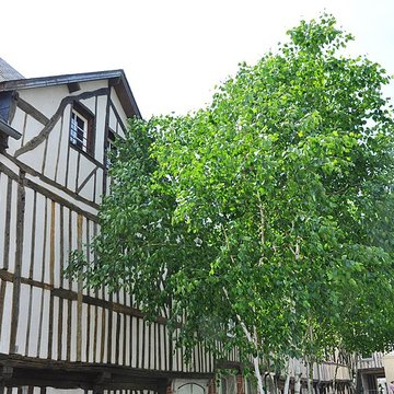 Immeuble de la cour Canel à Pont-Audemer