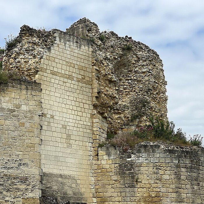 Photo de Forteresse Royale de Chinon