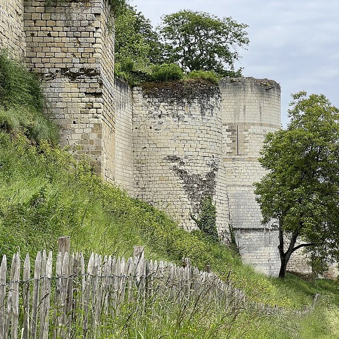 Photo de Forteresse Royale de Chinon