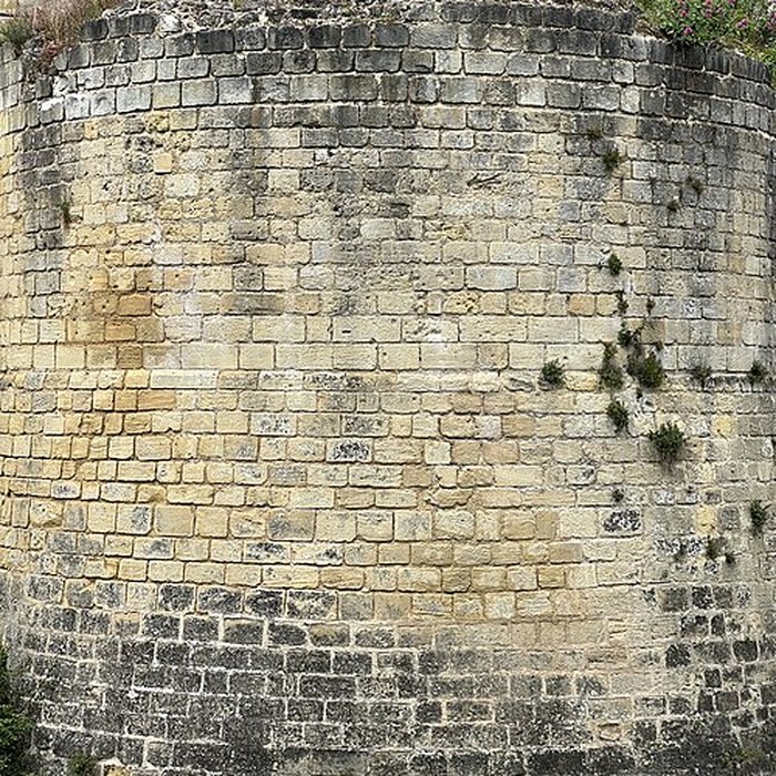 Photo de Forteresse Royale de Chinon