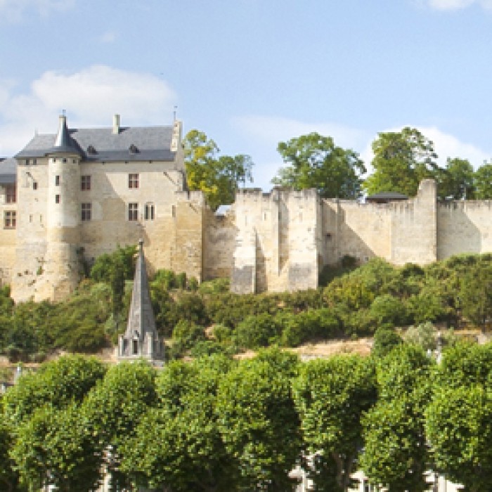 Photo de Forteresse Royale de Chinon