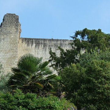Forteresse Royale de Chinon