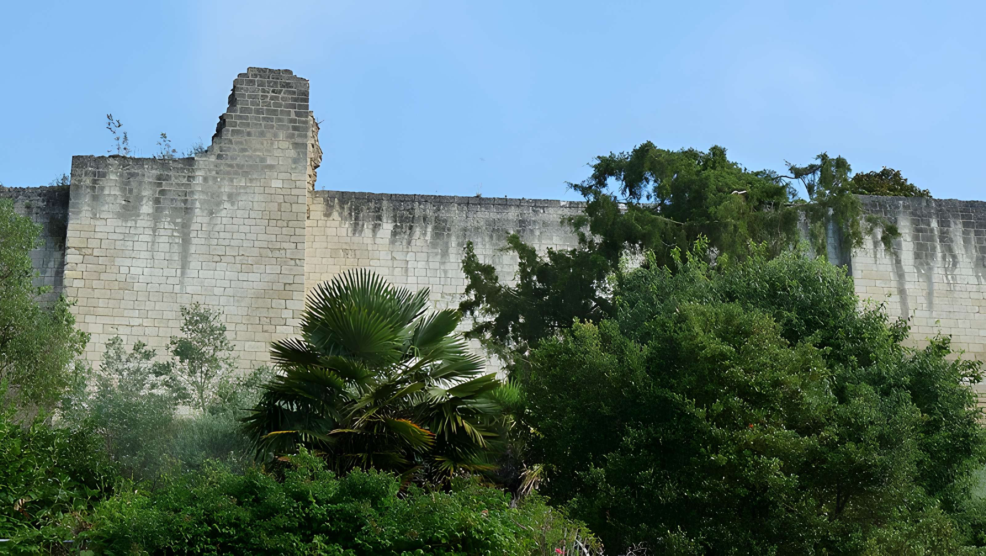 Forteresse Royale de Chinon