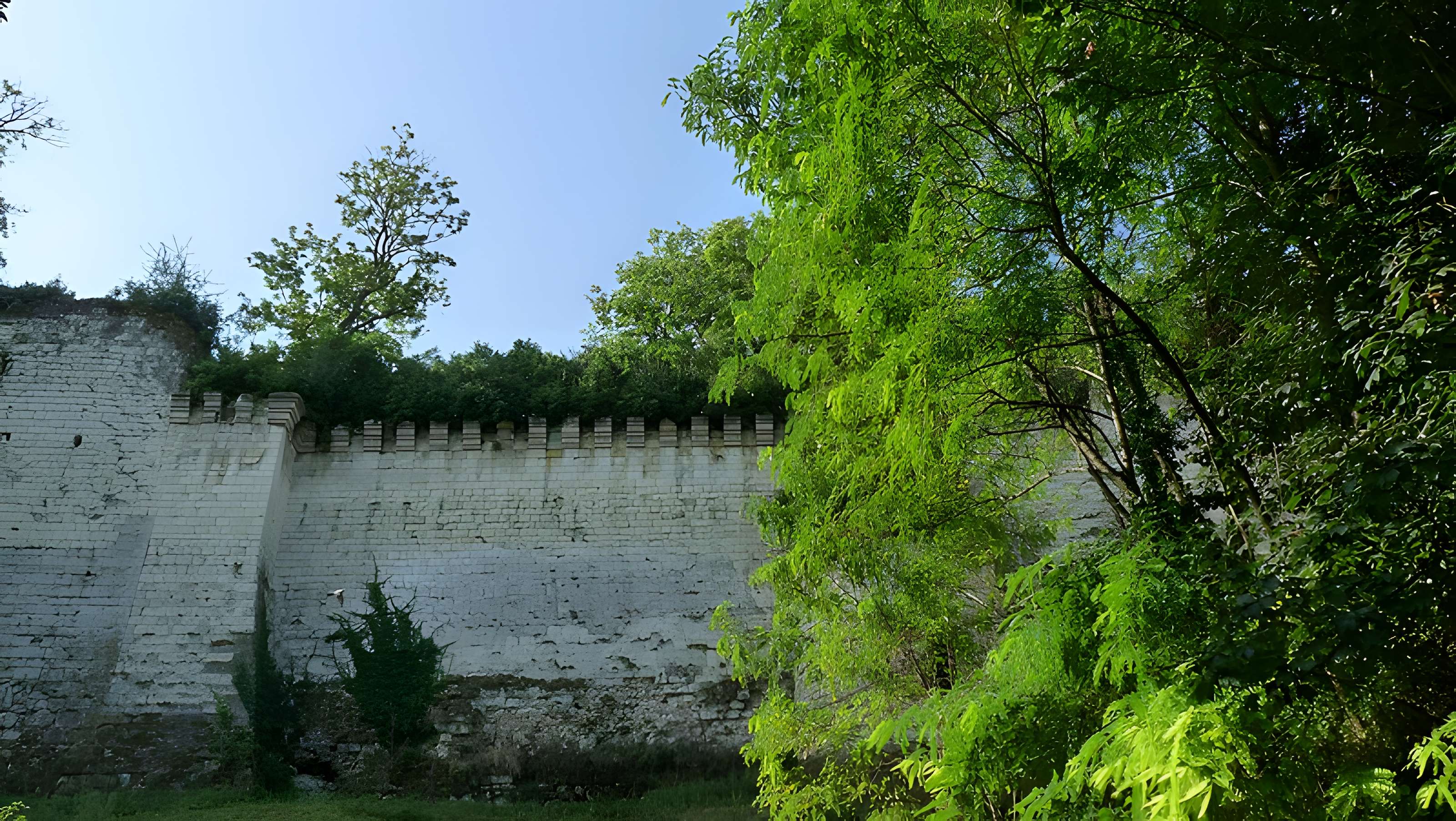 Forteresse Royale de Chinon