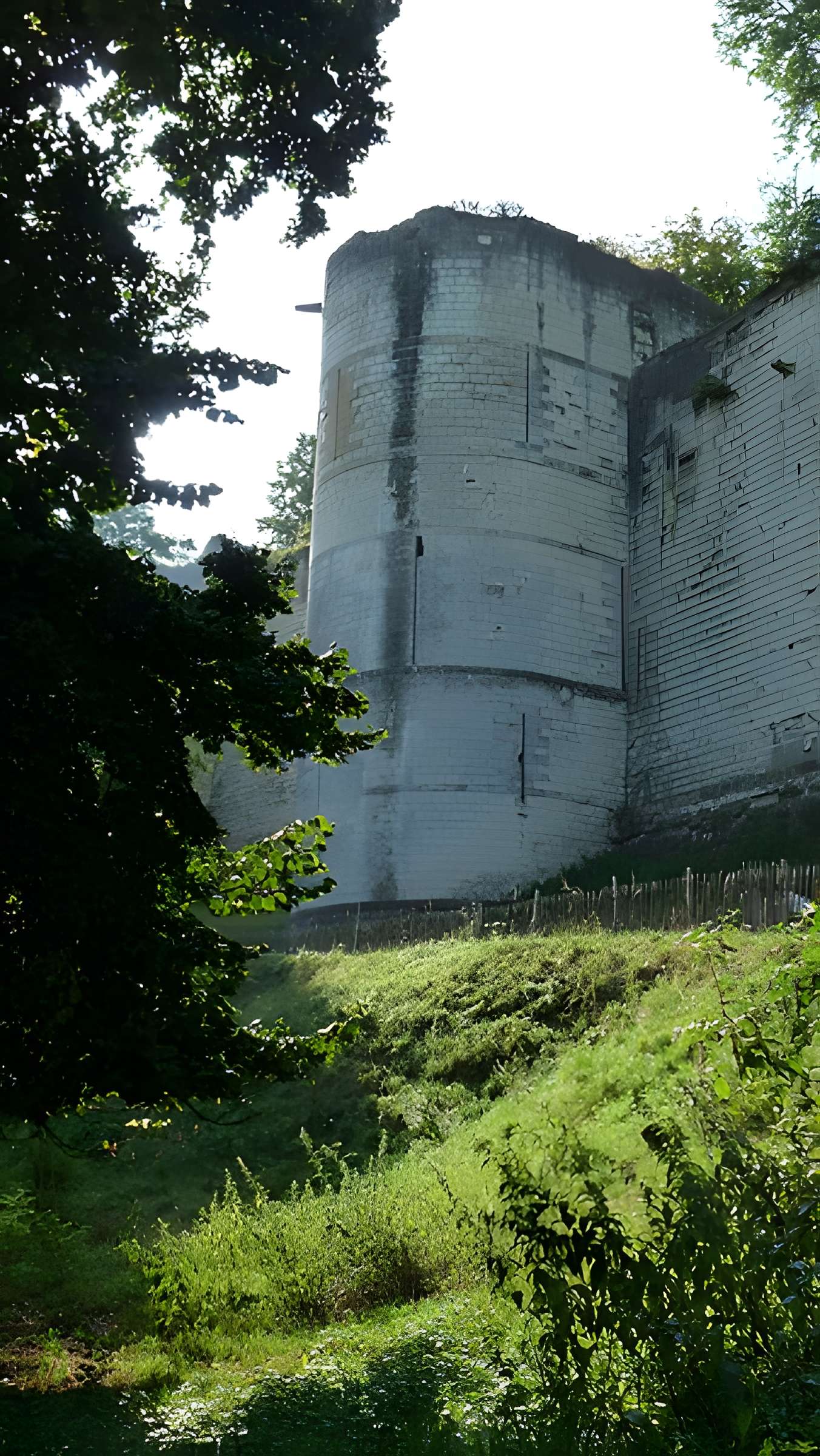 Forteresse Royale de Chinon
