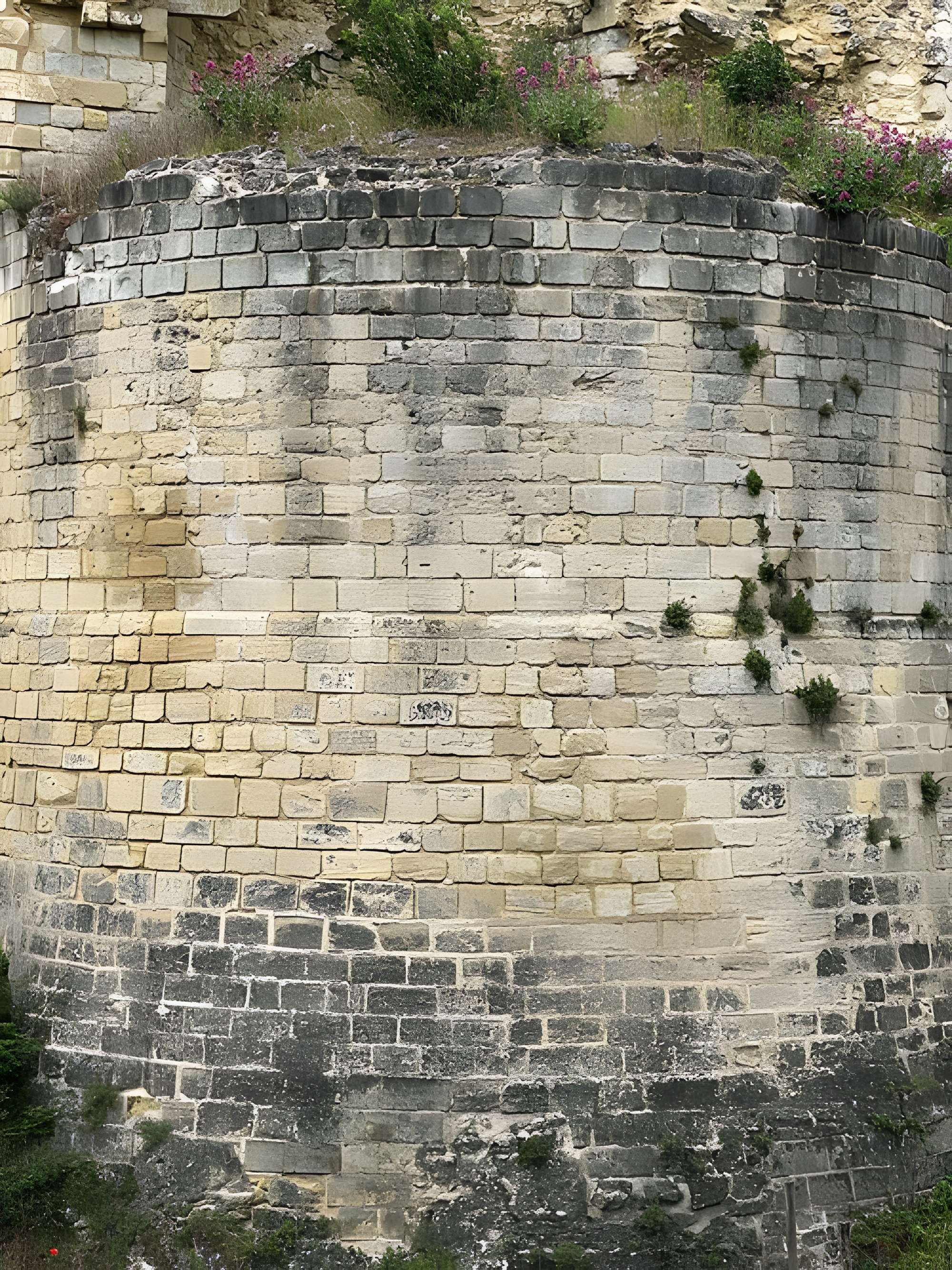 Forteresse Royale de Chinon