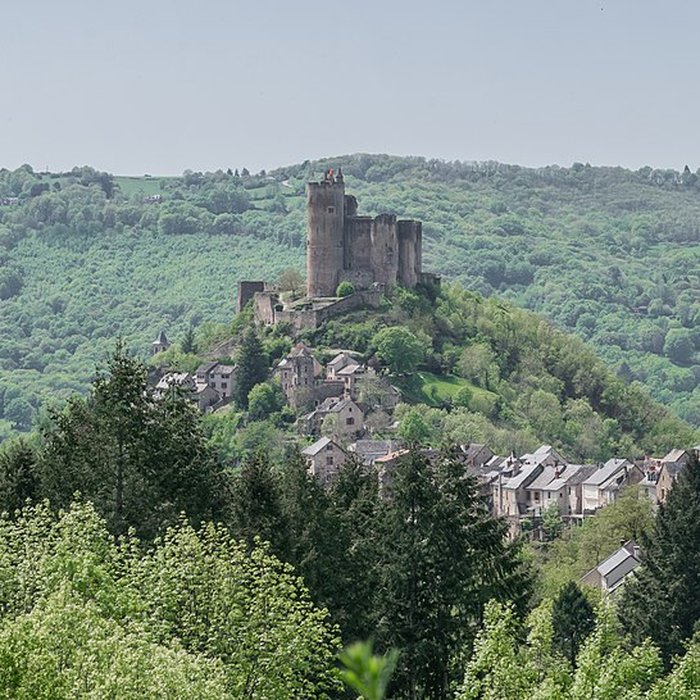 Photo de Forteresse royale de Najac