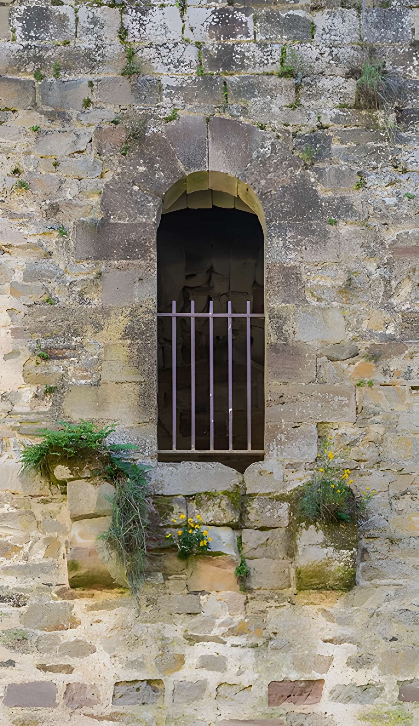 Forteresse royale de Najac