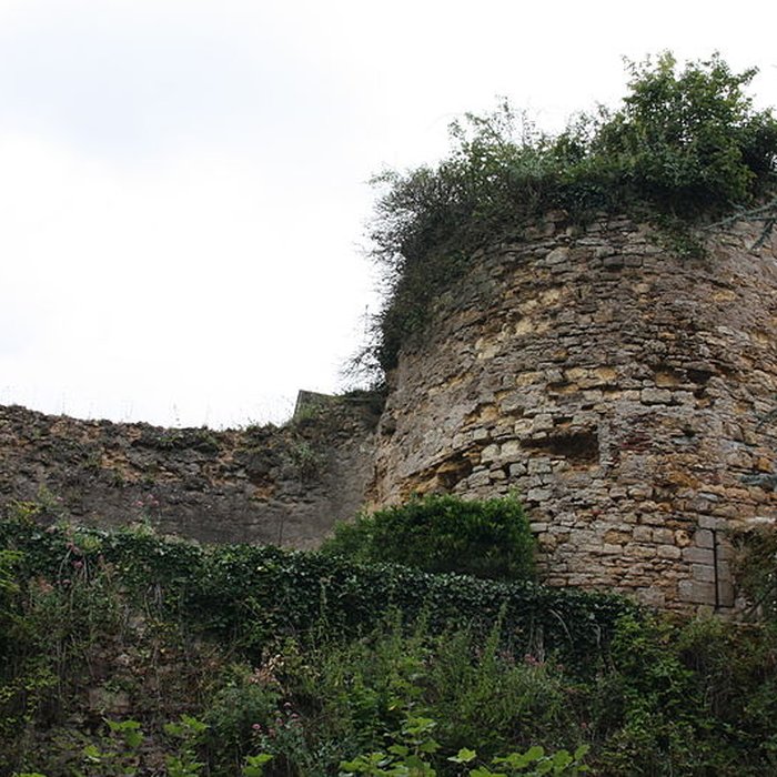 Photo de Fortifications dAinay-le-Château