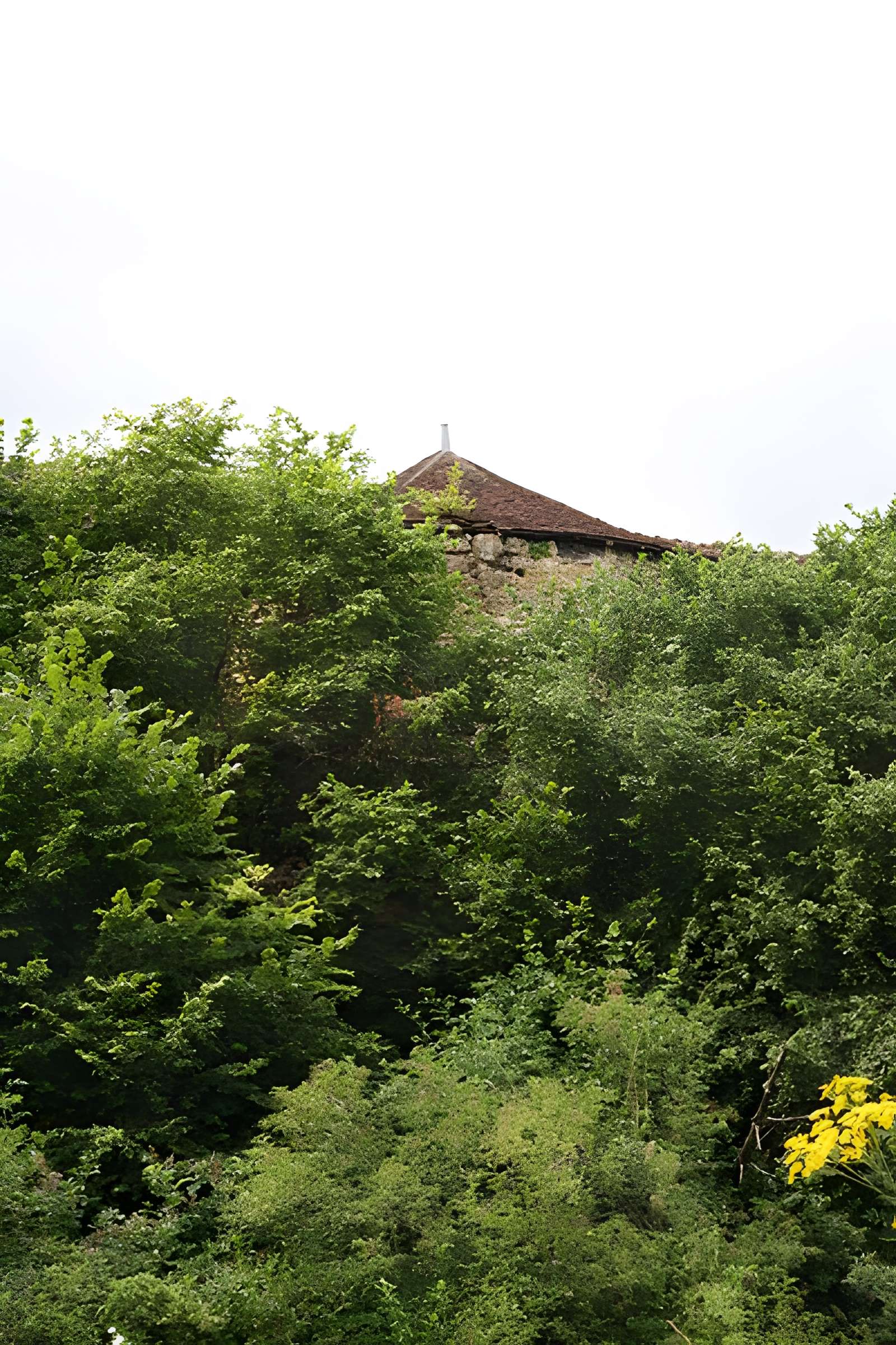 Fortifications d'Ainay-le-Château