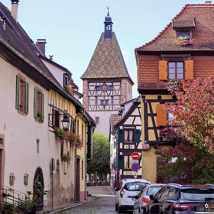 Photo de Fortifications de Bergheim