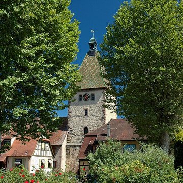 Fortifications de Bergheim