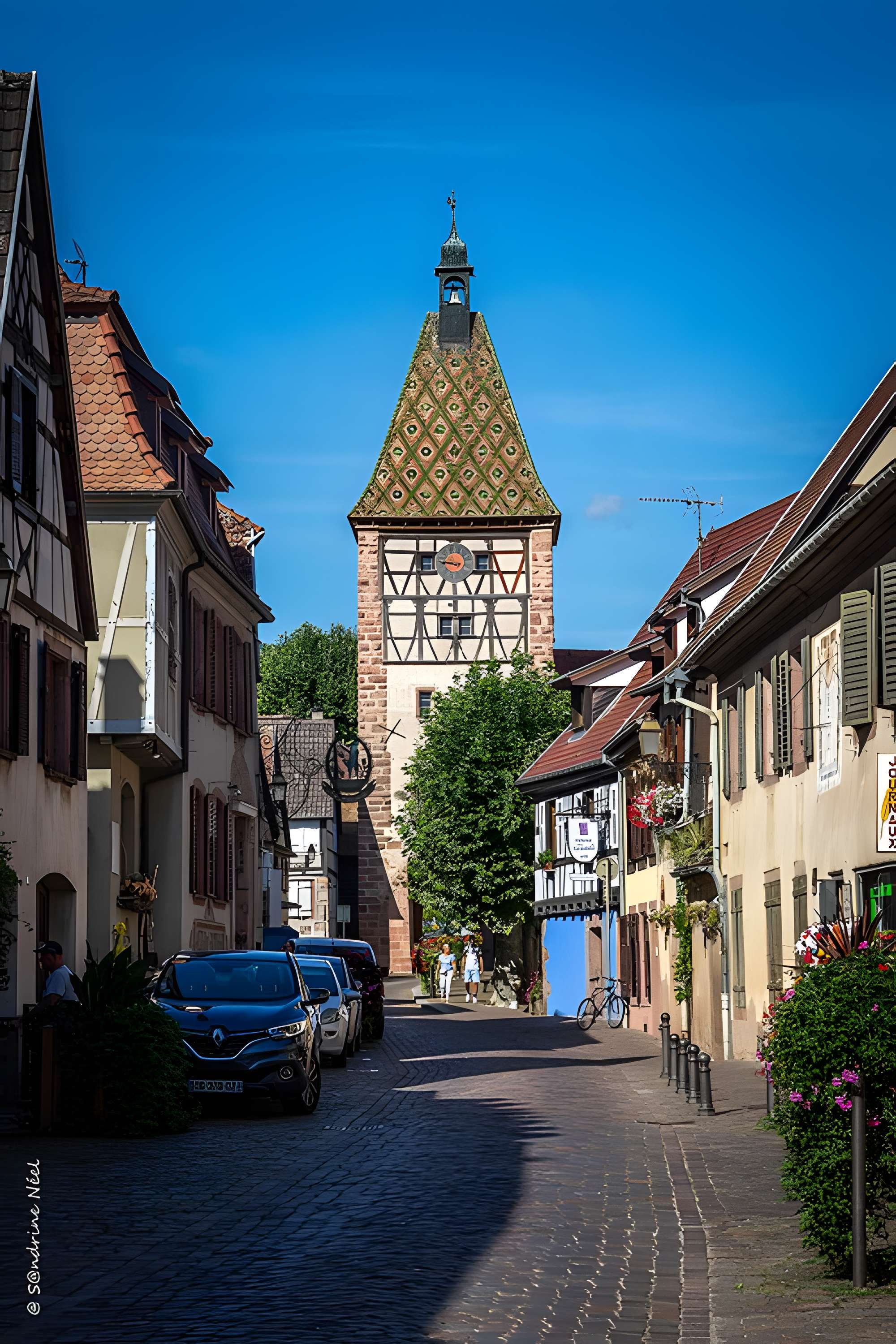 Fortifications de Bergheim