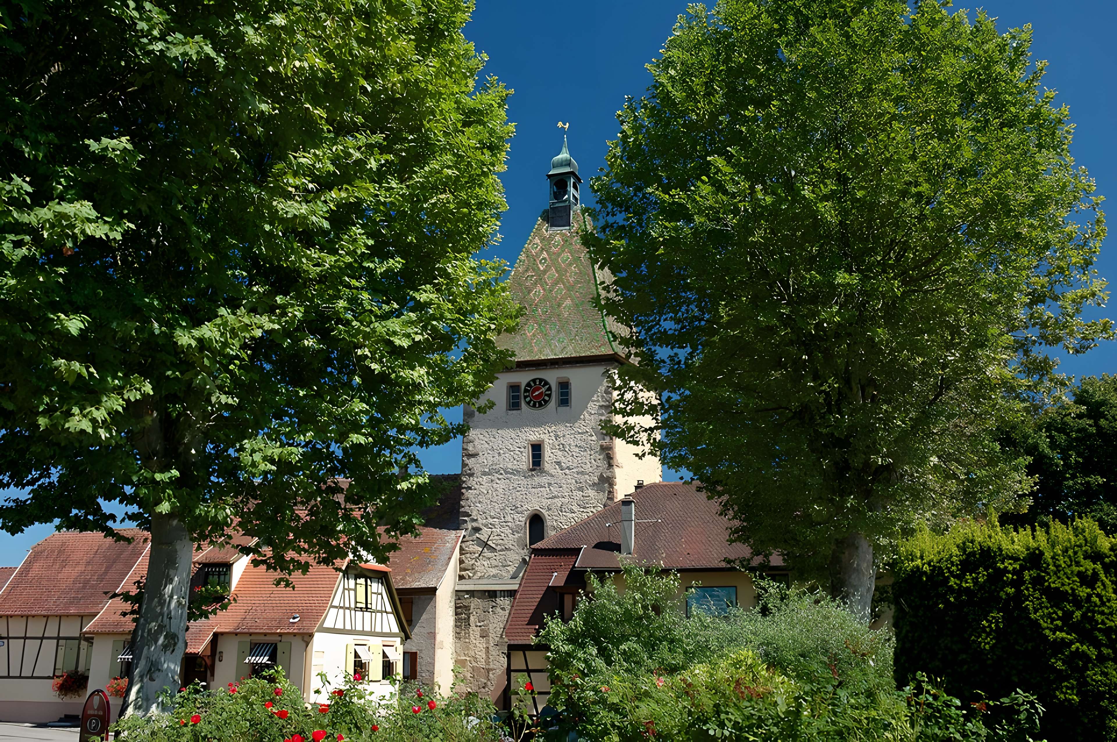 Fortifications de Bergheim