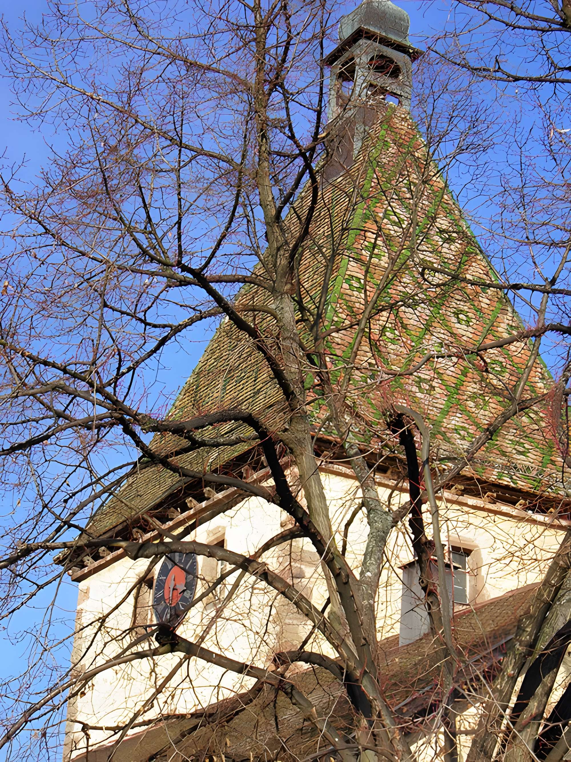 Fortifications de Bergheim