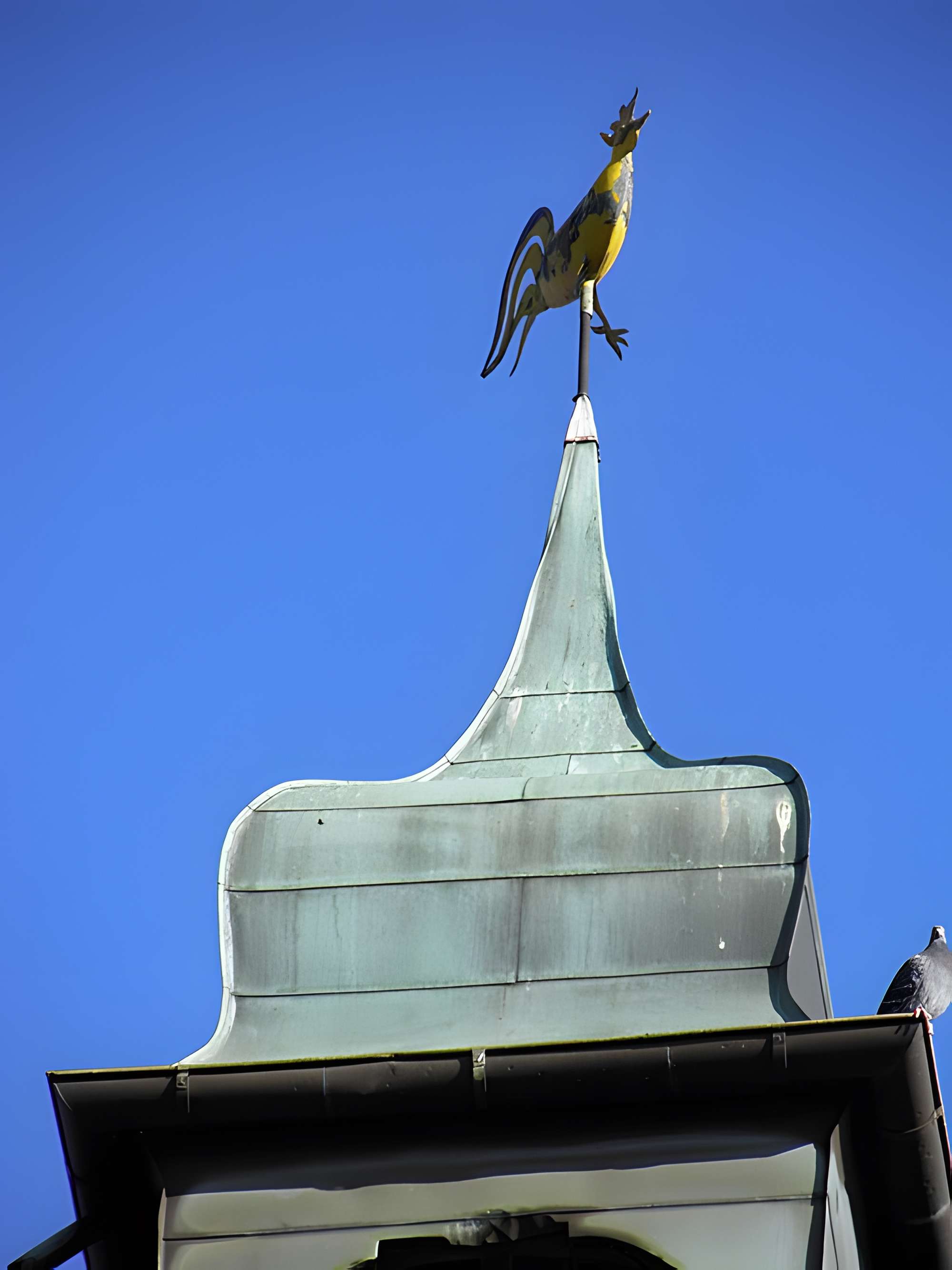 Fortifications de Bergheim