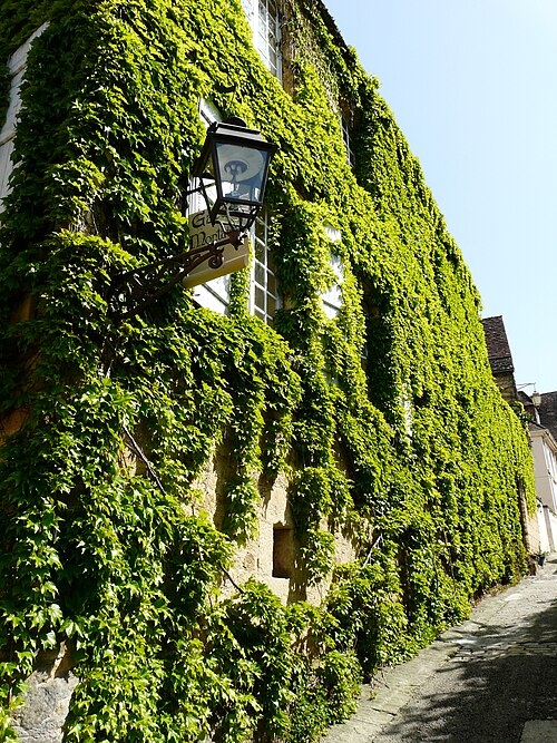 Immeuble, 9 Rue Montaigne à Sarlat-la-Canéda
