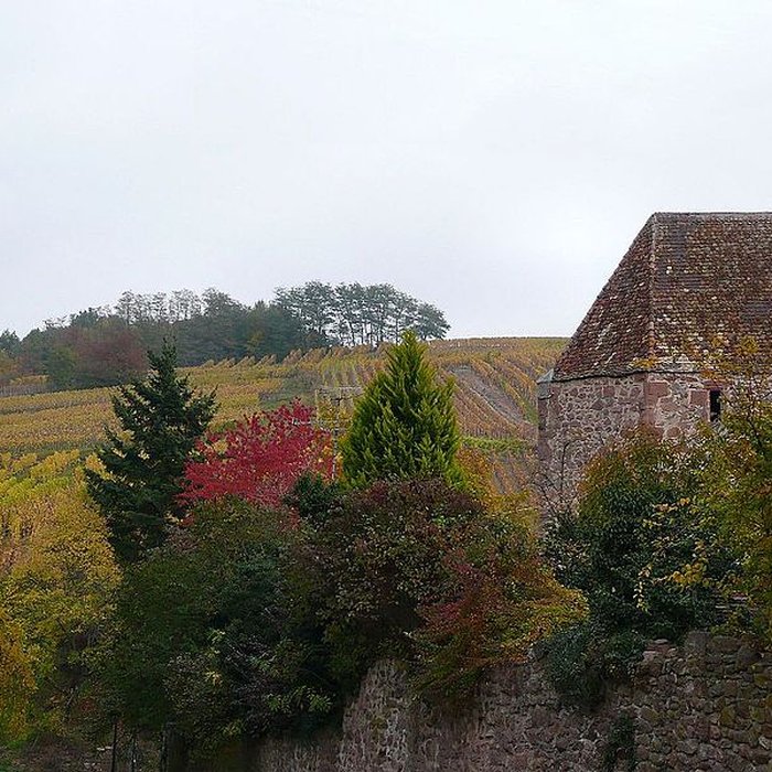 Photo de Fortifications de Riquewihr