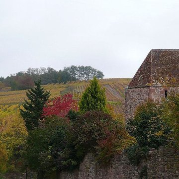 Fortifications de Riquewihr