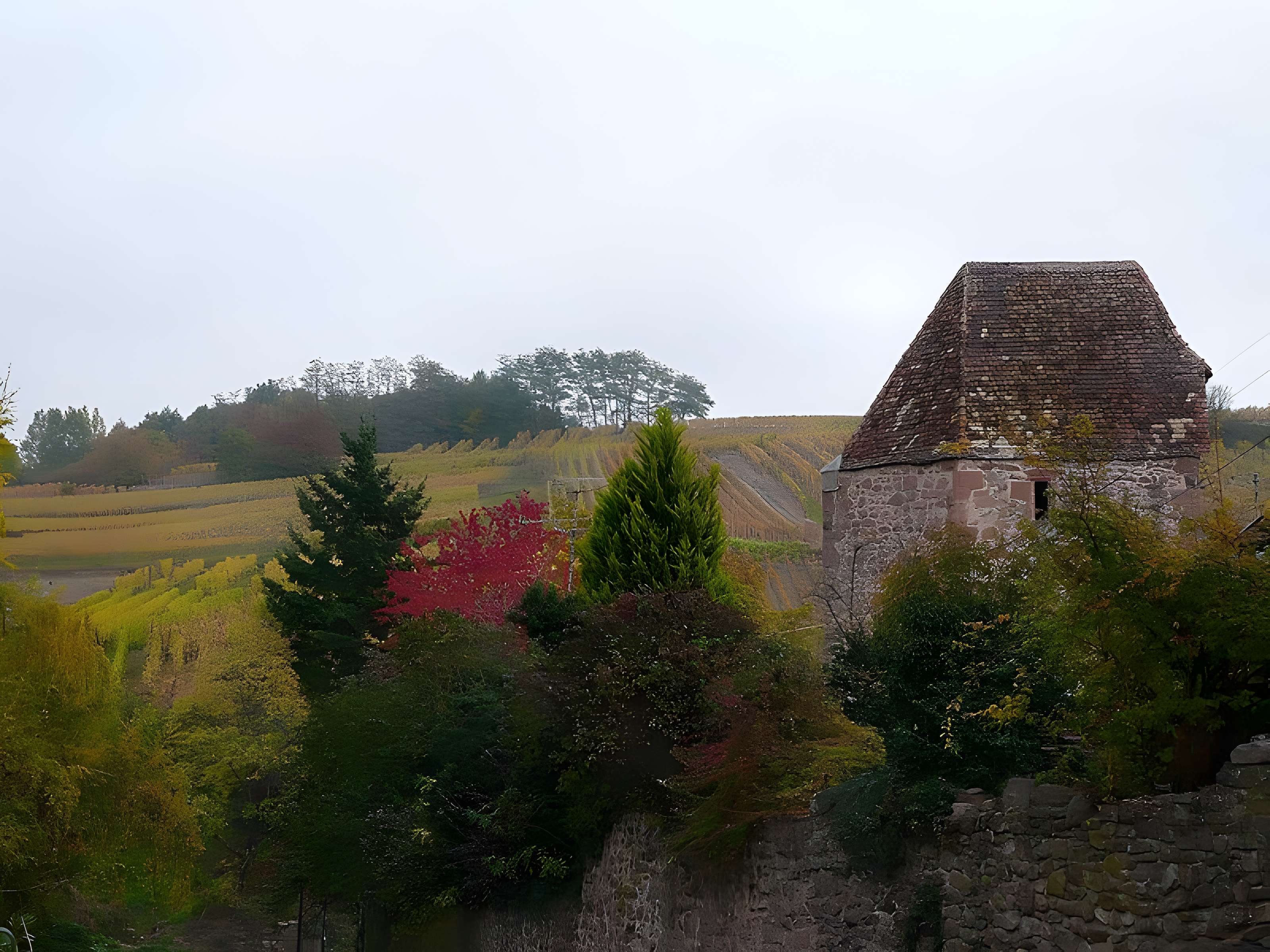Fortifications de Riquewihr
