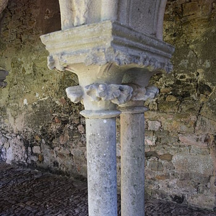 Photo de Abbaye Sainte-Marie de Villelongue