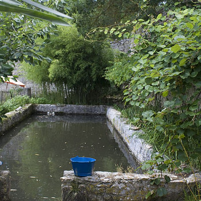 Photo de Abbaye Sainte-Marie de Villelongue