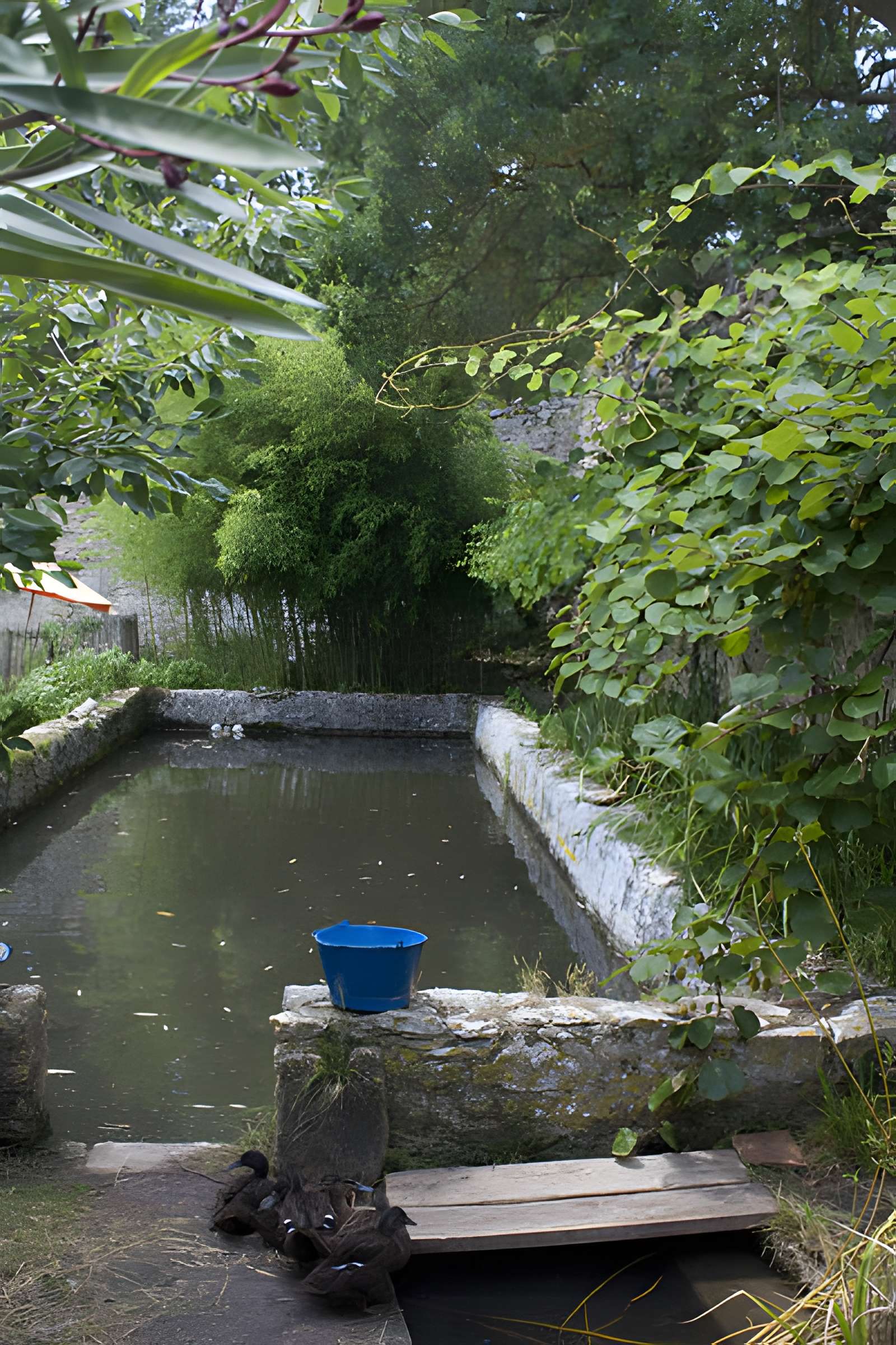 Abbaye Sainte-Marie de Villelongue