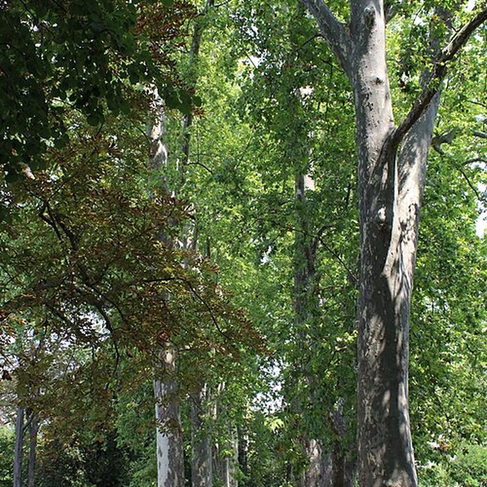 Photo de Jardin den haut de Bouc-Bel-Air