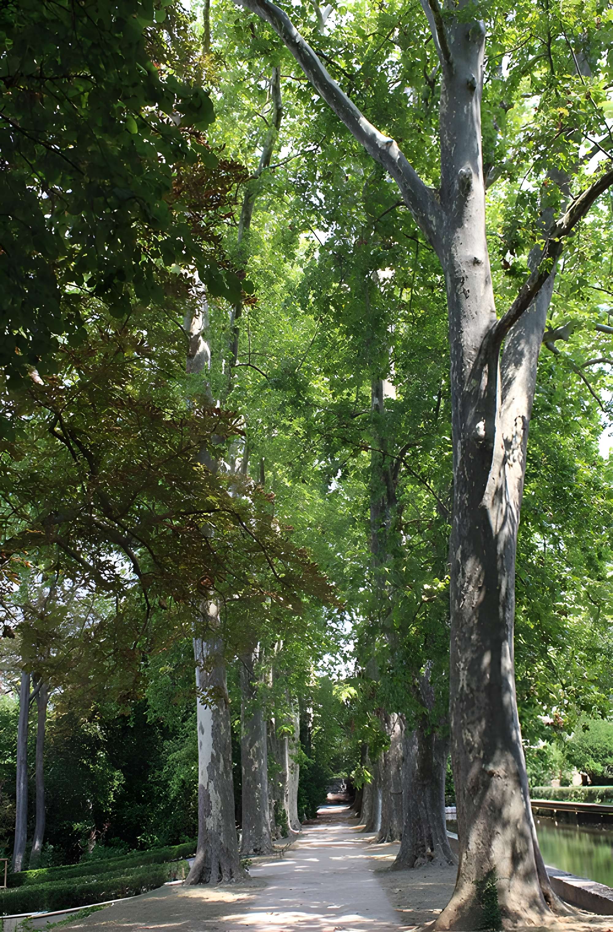 Jardin d'en haut de Bouc-Bel-Air