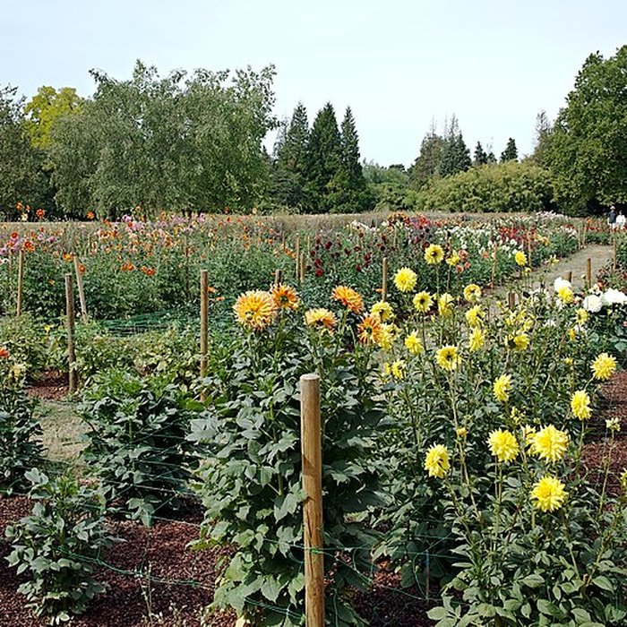 Photo de Jardin des plantes de Lille