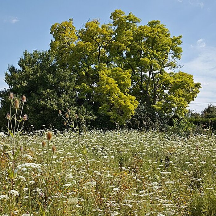 Photo de Jardin des plantes de Lille