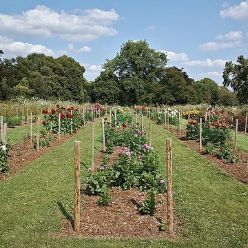 Jardin des plantes de Lille