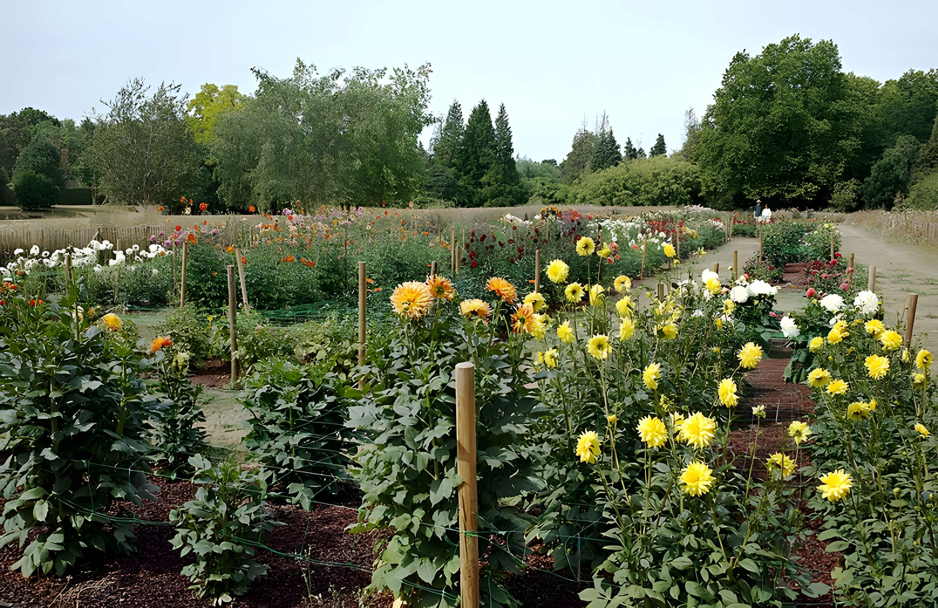 Jardin des plantes de Lille