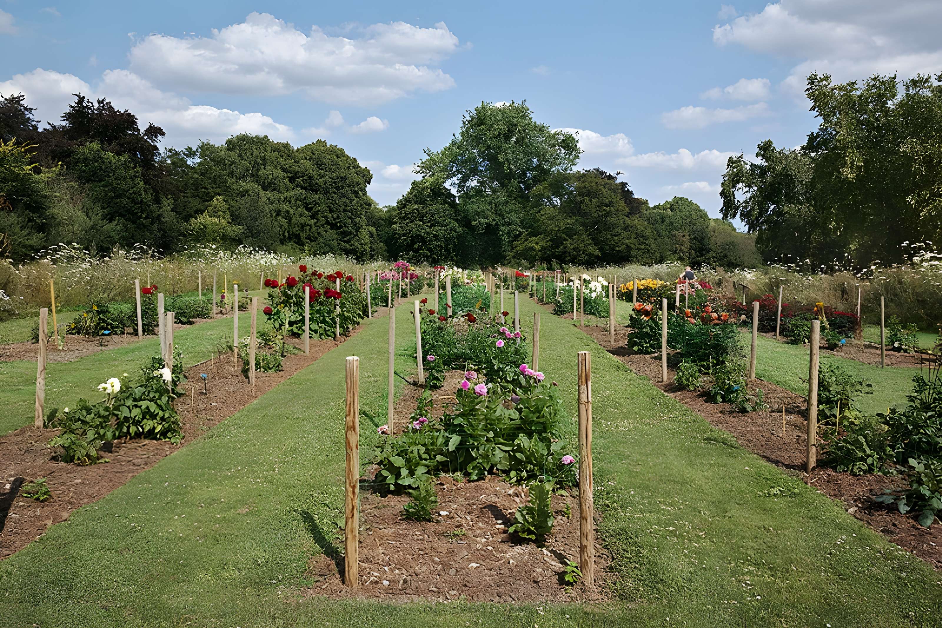 Jardin des plantes de Lille