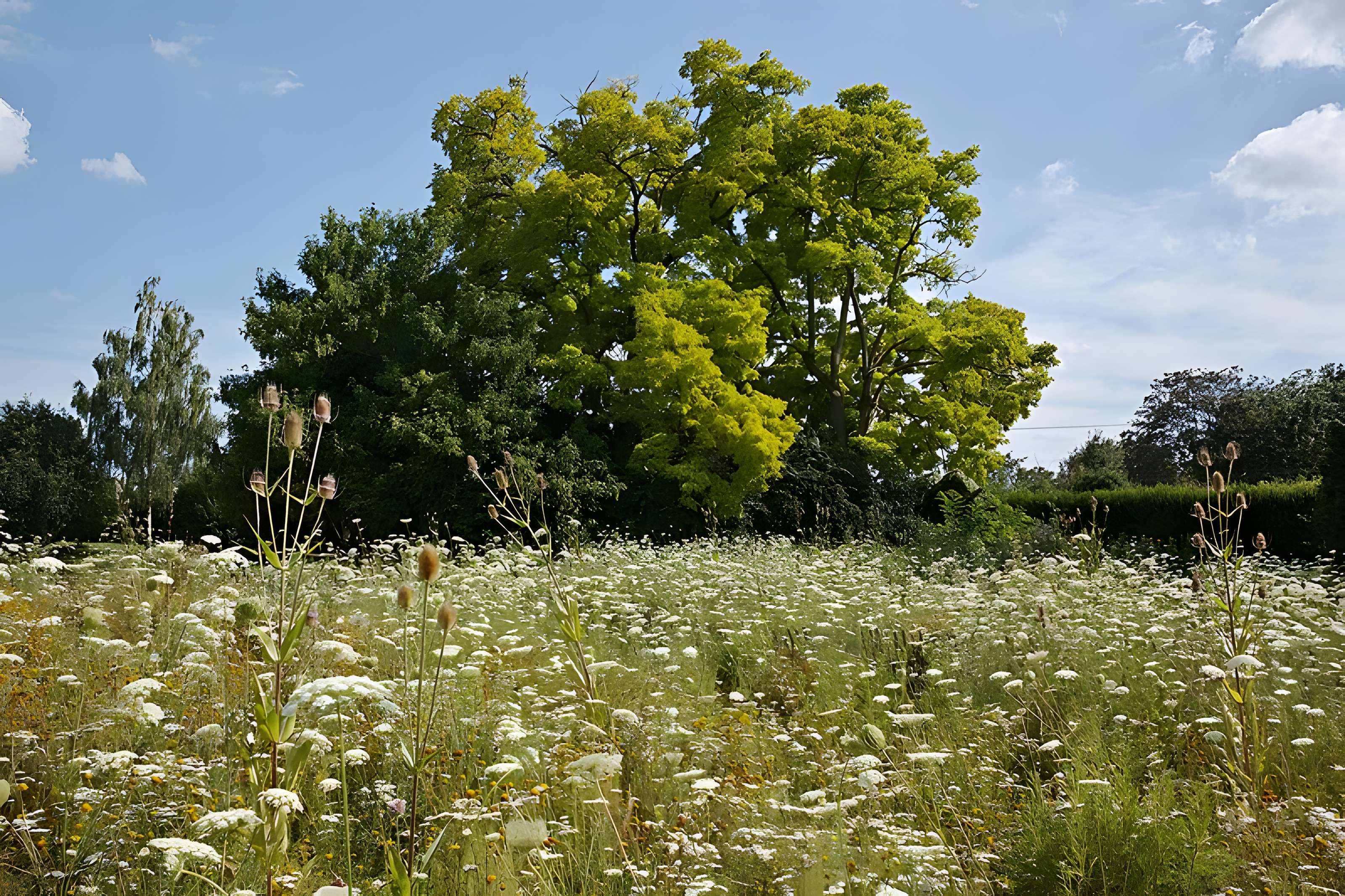 Jardin des plantes de Lille