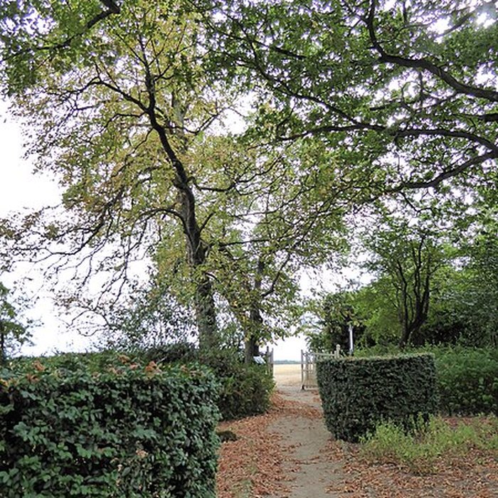 Photo de Jardin du Pré-Catelan à Illiers-Combray