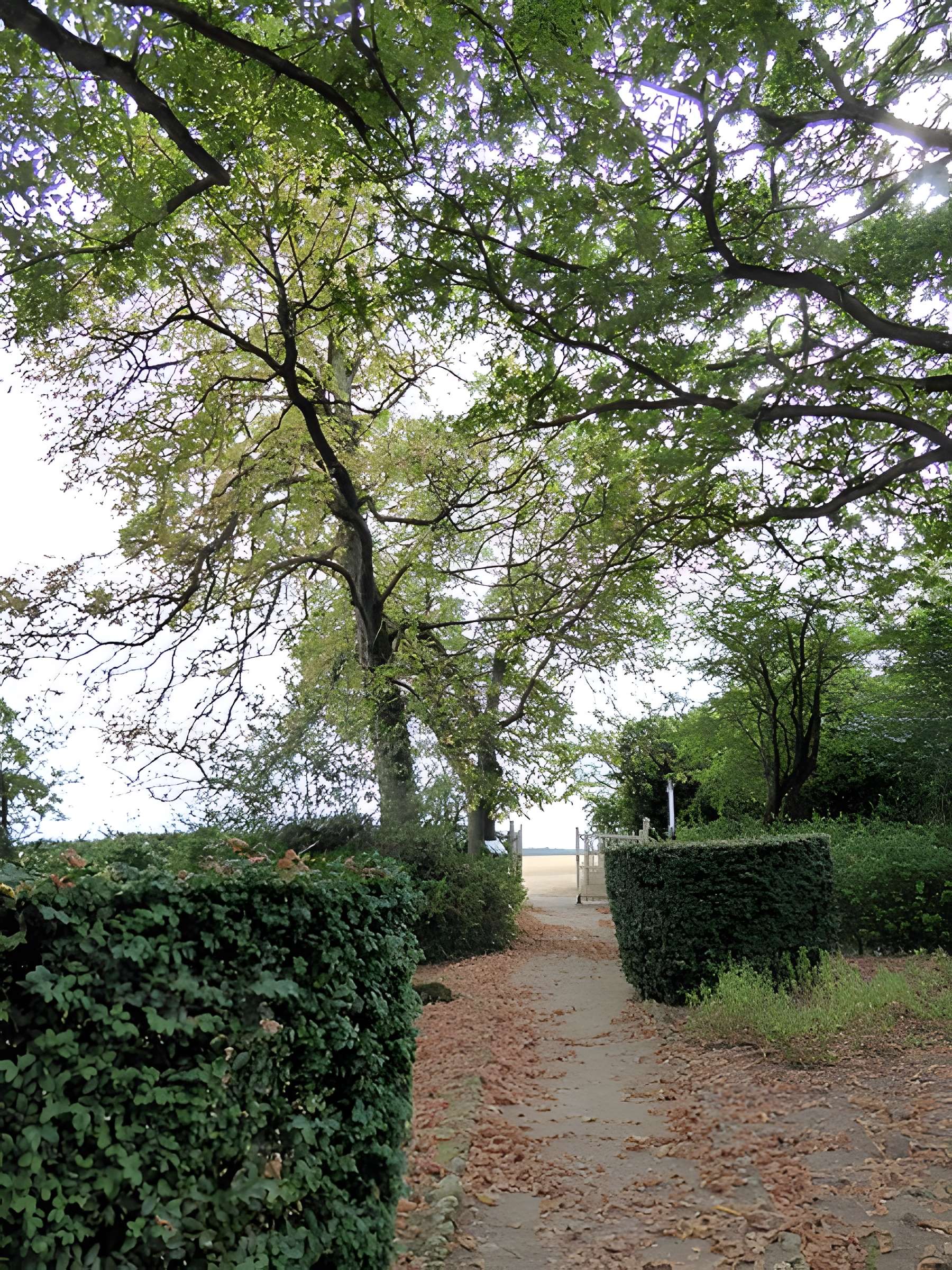 Jardin du Pré-Catelan à Illiers-Combray