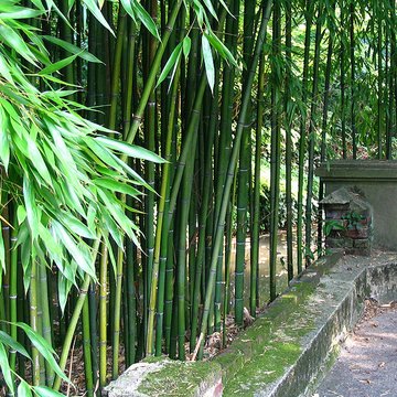 Jardin dAgronomie Tropicale, situé dans le bois de Vincennes