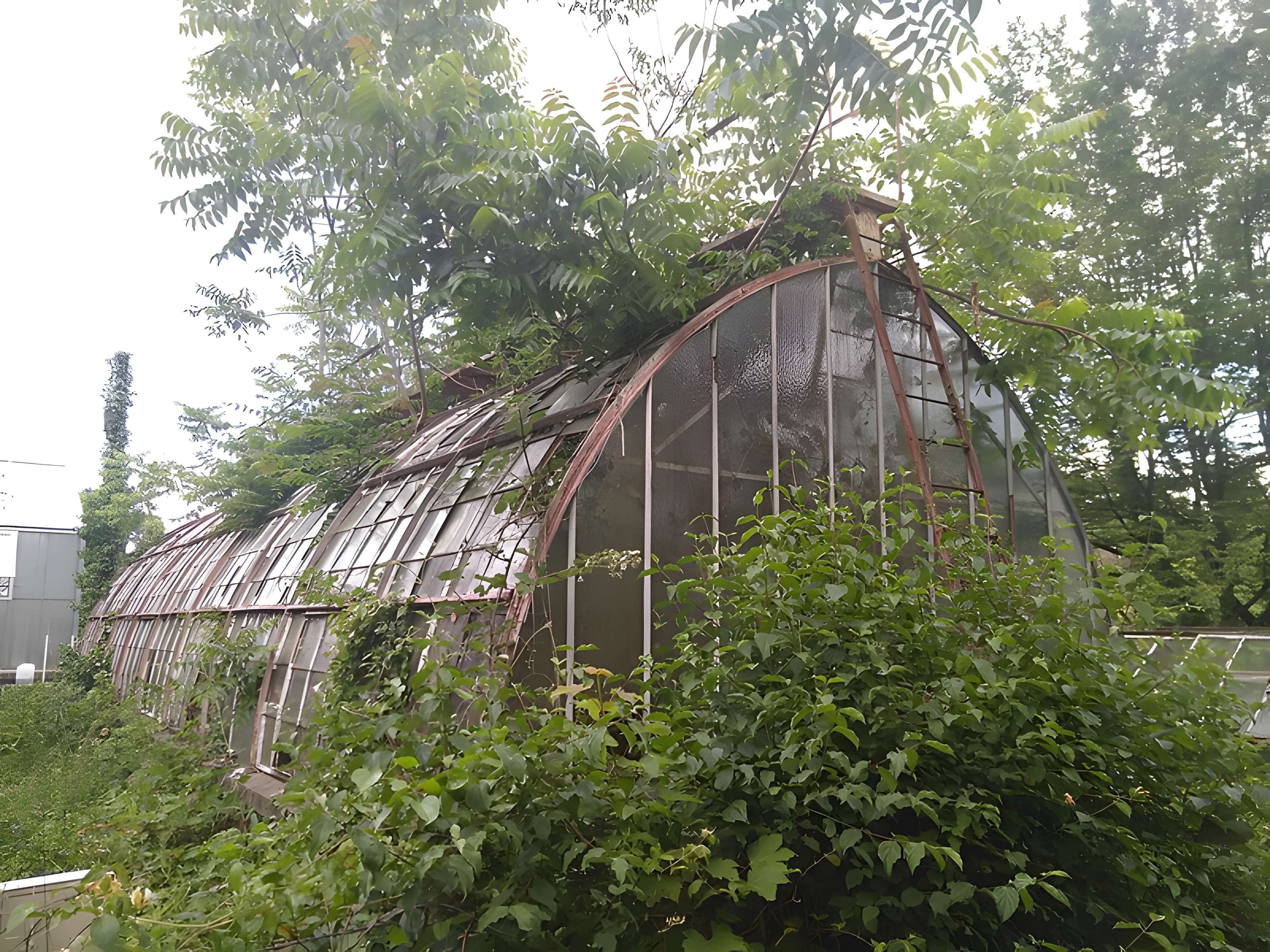 Jardin d'Agronomie Tropicale, situé dans le bois de Vincennes
