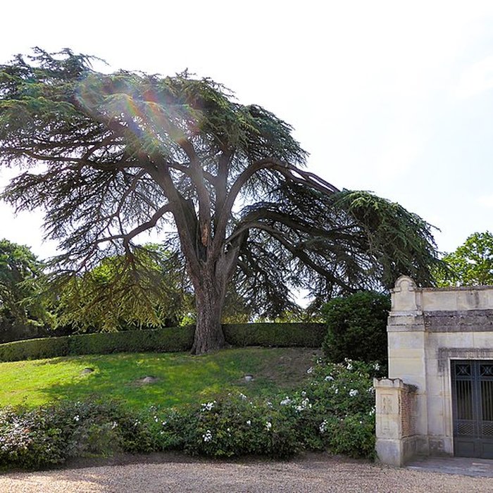 Photo de Chapelle Royale Saint-Louis de Dreux