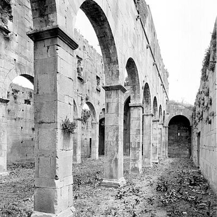 Photo de La cité antique de Mariana à Lucciana