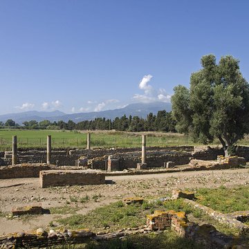 La cité antique de Mariana à Lucciana
